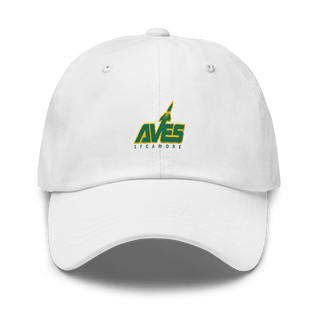 Sycamore Junior High School Lacrosse 67422127  classic hat -
