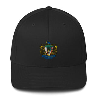 CSG 10 FP D1 87966167 Structured Twill Cap - 1