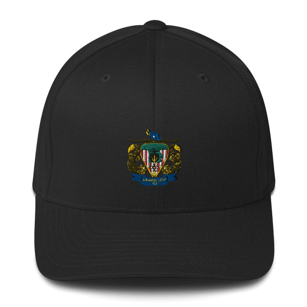 CSG 10 FP D1 87966167 Structured Twill Cap - 2