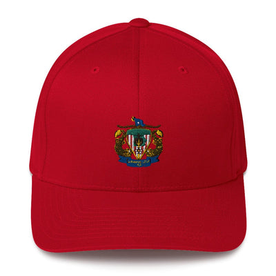 CSG 10 FP D1 87966167 Structured Twill Cap - 2