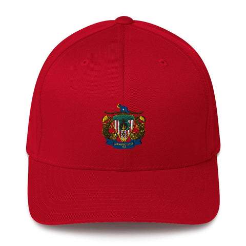 CSG 10 FP D1 87966167 Structured Twill Cap - 2