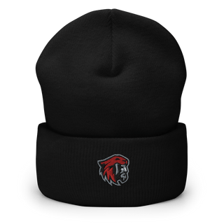 American Fork High School Softball 40656647  Cuffed Beanie -