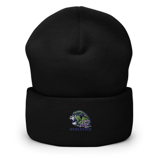 Loganville Christian Academy Softball 78718810  Cuffed Beanie -