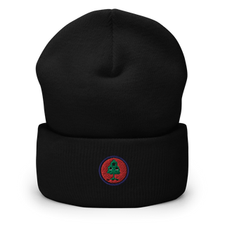 30th Troop Command 1256975  Cuffed Beanie -