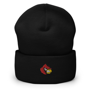 Robertson High School Volleyball 17945585  Cuffed Beanie -