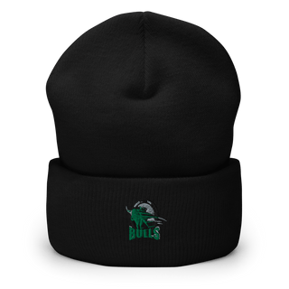 Sarasota Suncoast Academy 29121849  Cuffed Beanie -