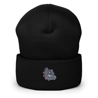 Ramona High School Cheer 63136049  Cuffed Beanie -