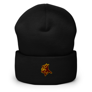 Chartiers-Houston High School Soccer 40340941  Cuffed Beanie -