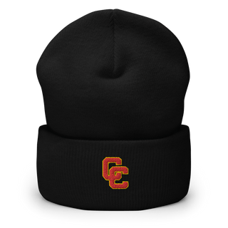 Cathedral Catholic High School Dance 20457478  Cuffed Beanie -