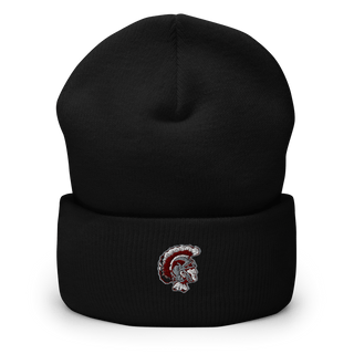Dougherty Comprehensive High School Basketball 26156700  Cuffed Beanie -