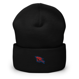 Pender High School Basketball 94245008  Cuffed Beanie -