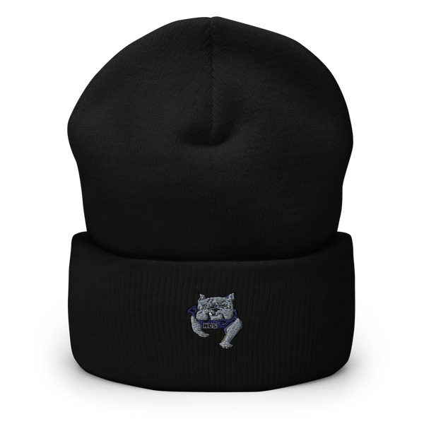 Honeoye Central High School Basketball 21166848  Cuffed Beanie -