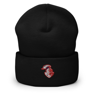 Northridge High School 7838229  Cuffed Beanie -