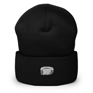 TRUTHFUL-23.LLC 19238144  Cuffed Beanie -