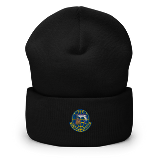 70th Aerial Port Squadron 40618809  Cuffed Beanie -