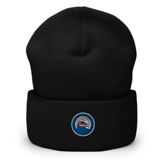 Dr. Ralph H. Baker 21St Century Learning Center 29617930  Cuffed Beanie -