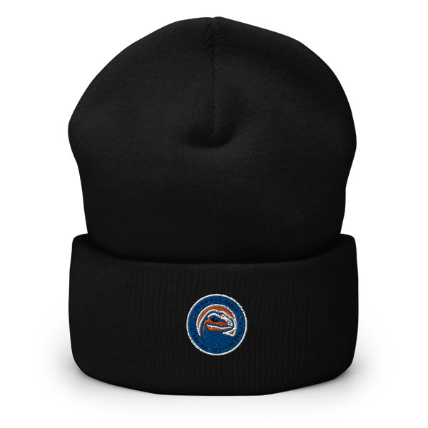 Dr. Ralph H. Baker 21St Century Learning Center 29617930  Cuffed Beanie -