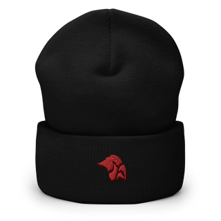 Cedar Springs High School Bowling 4687371  Cuffed Beanie -