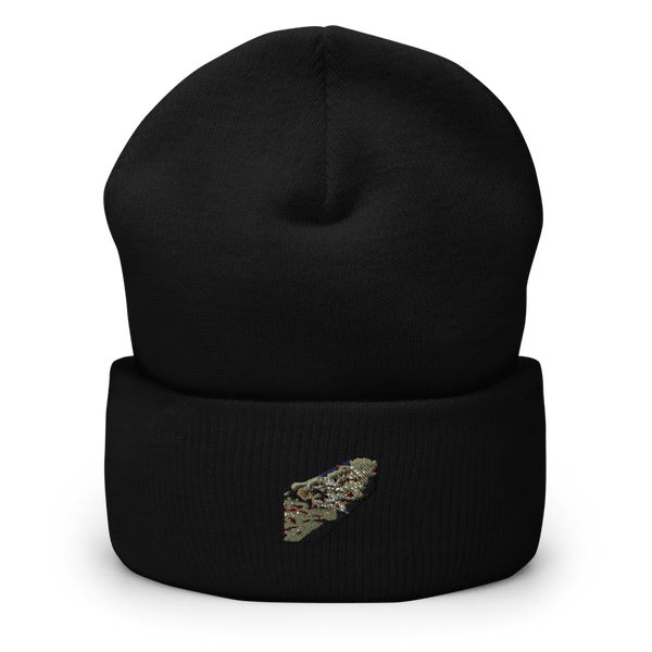 Combat Control 52172419  Cuffed Beanie -