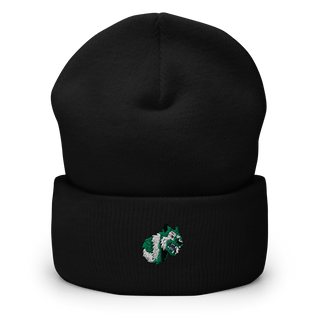 Williamsburg Charter High School Basketball 8555564  Cuffed Beanie -