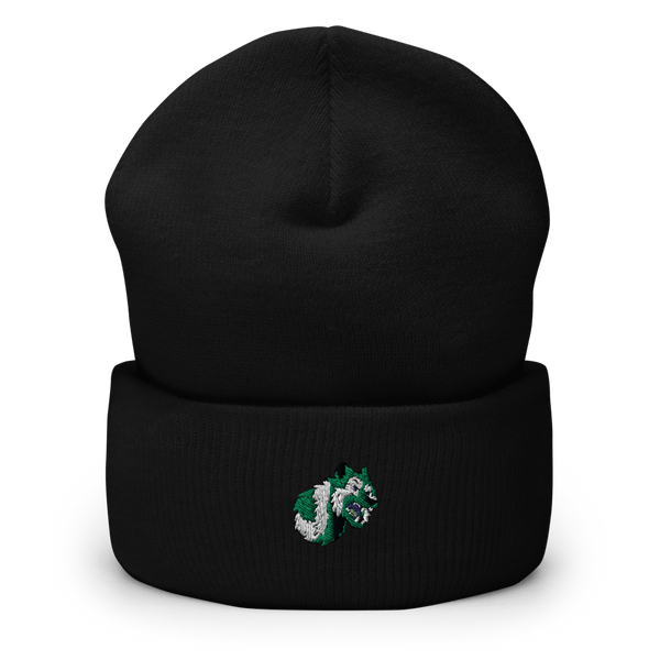 Williamsburg Charter High School Basketball 8555564  Cuffed Beanie -
