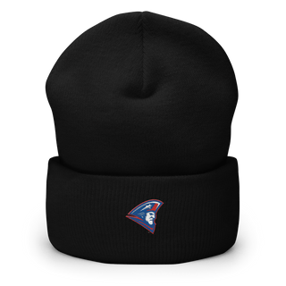 Revere High School Basketball 20629396  Cuffed Beanie -