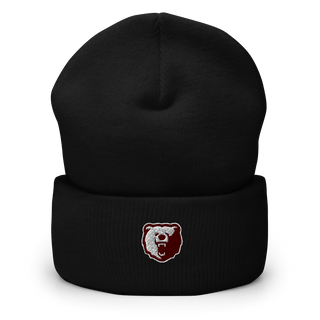 Willow Springs Middle School Basketball 31020746  Cuffed Beanie -