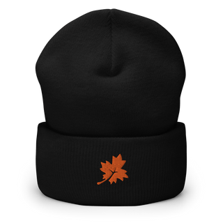Maple Park Charter School 55526408  Cuffed Beanie -