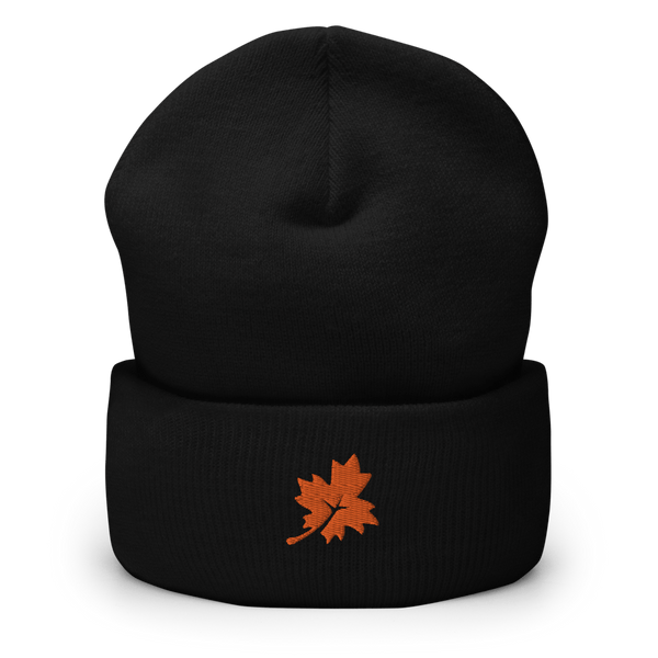 Maple Park Charter School 55526408  Cuffed Beanie -
