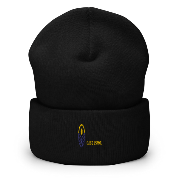 Delaware Valley Classical School 75965882  Cuffed Beanie -