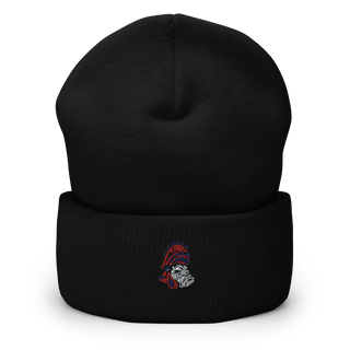 Waltonville Junior High School  Basketball 88324183  Cuffed Beanie -