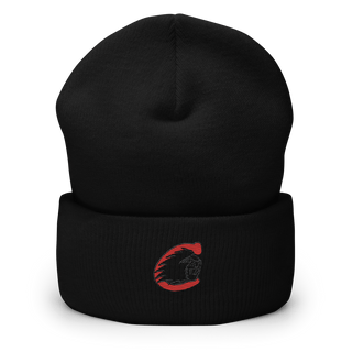 Cumberland Elementary School 35230921  Cuffed Beanie -
