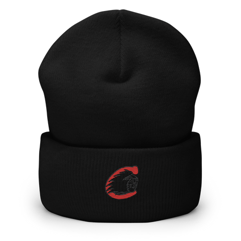 Cumberland Elementary School 35230921  Cuffed Beanie -