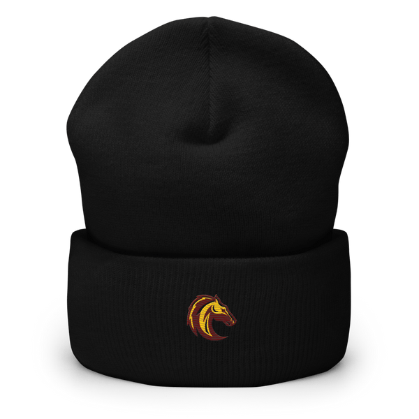 Southwest Preparatory School - Southeast Campus 37544282  Cuffed Beanie -