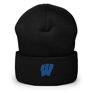Stambaugh Elementary School 21402892  Cuffed Beanie -