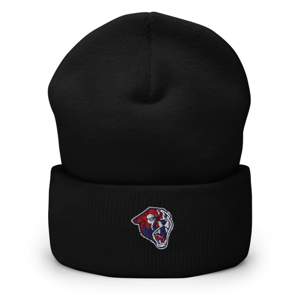 Perry High School Softball 23229764  Cuffed Beanie -