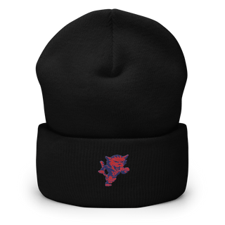 Bay View High School Track 90208055  Cuffed Beanie -