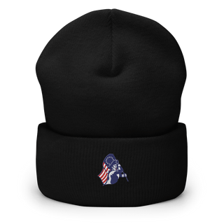 Nathan Hale High School Baseball 31222305  Cuffed Beanie -