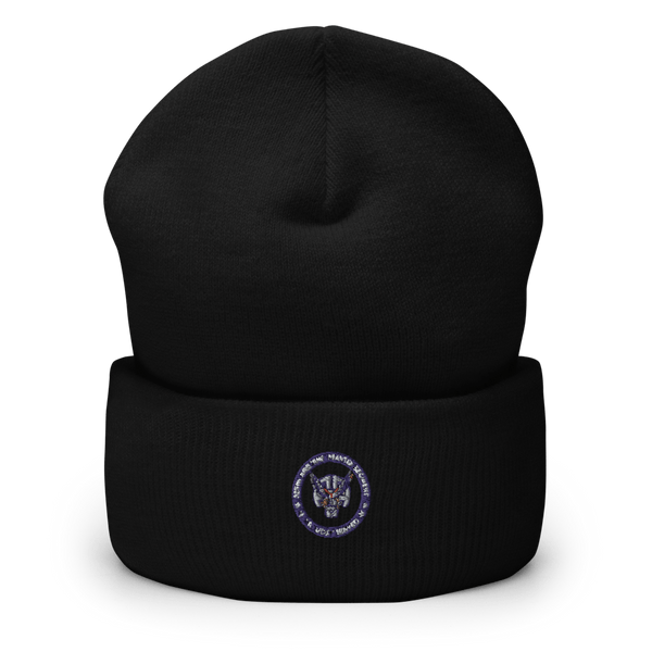 Bravo co 1/325 A.I.R. 23517305  Cuffed Beanie -