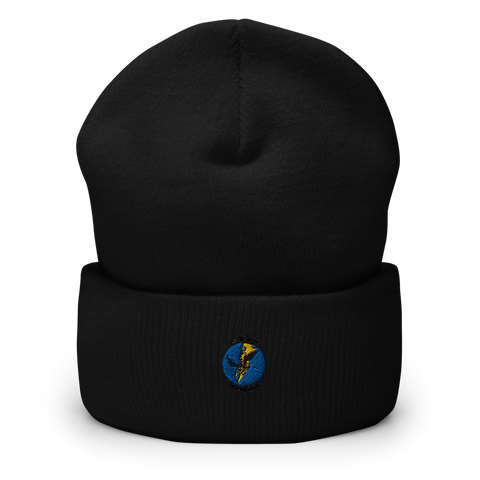 Detachment 355 94596415  Cuffed Beanie -