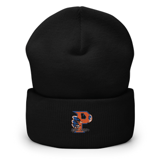 Parkview High School Football 10660814  Cuffed Beanie -