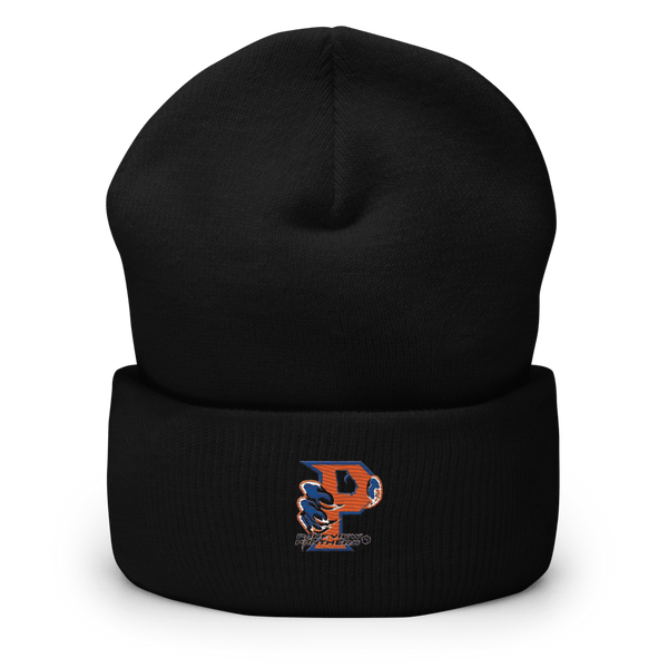 Parkview High School Football 10660814  Cuffed Beanie -