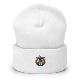 CSG 10 FP D1 87966167  Cuffed Beanie -