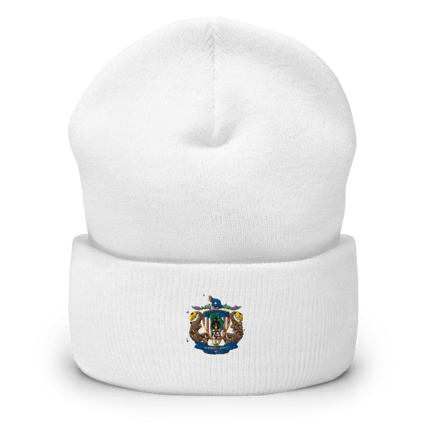 CSG 10 FP D1 87966167  Cuffed Beanie -