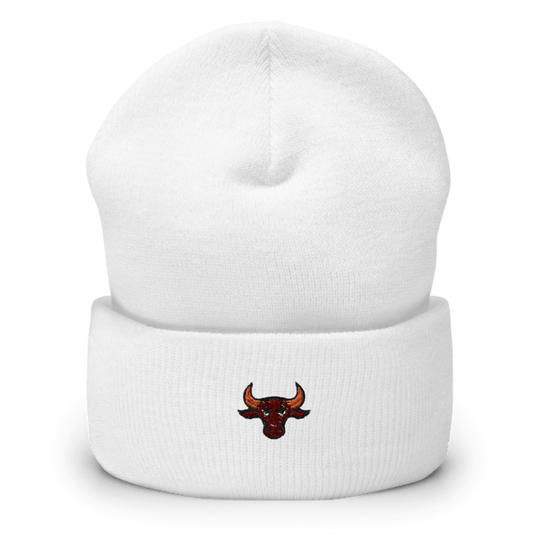 Ethan High School Volleyball 40476627  Cuffed Beanie -