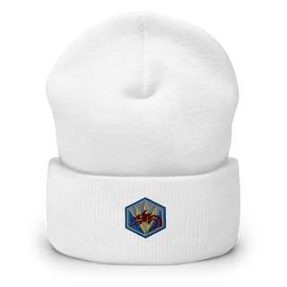 DET 15 325th EMIB 30481521  Cuffed Beanie -