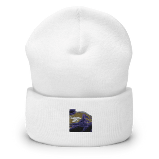 City of Bartlett City Jail 55207514  Cuffed Beanie -