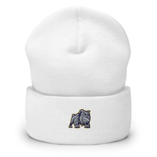 St. Cloud Bulldogs 79211252  Cuffed Beanie -