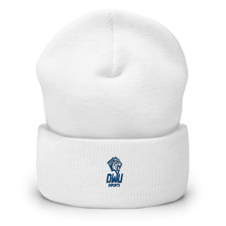 DAKOTA WESLEYAN ATHLETICS 46807145  Cuffed Beanie -