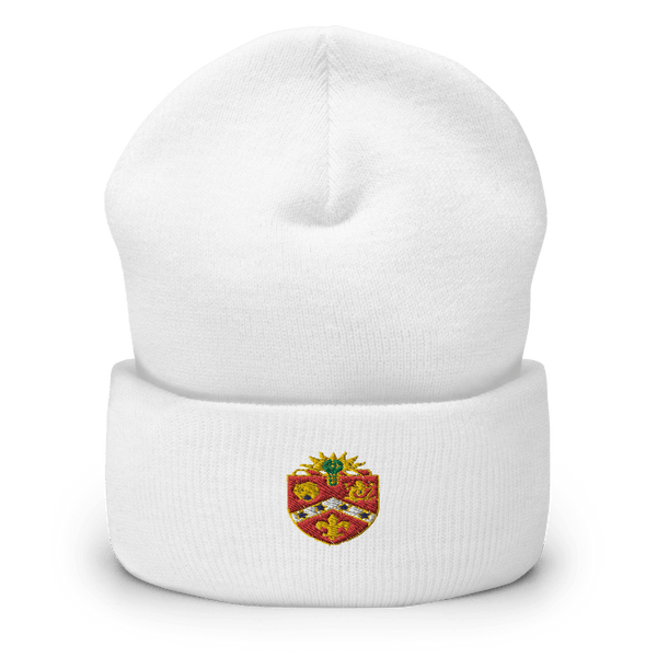 2-3 FA FIST 59815609  Cuffed Beanie -